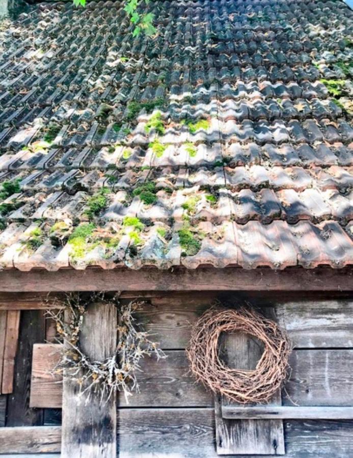 Отель Gasthaus Birke Кирхцартен Экстерьер фото
